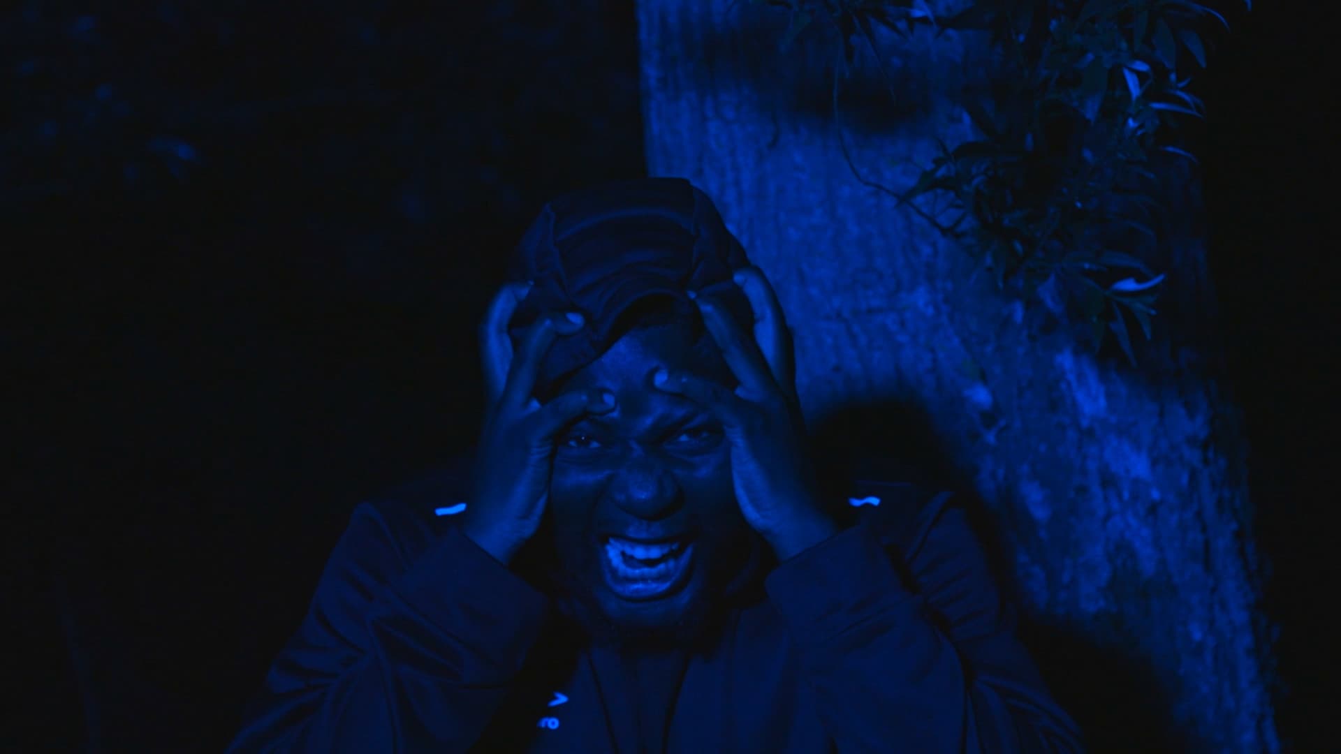 The Prisoner