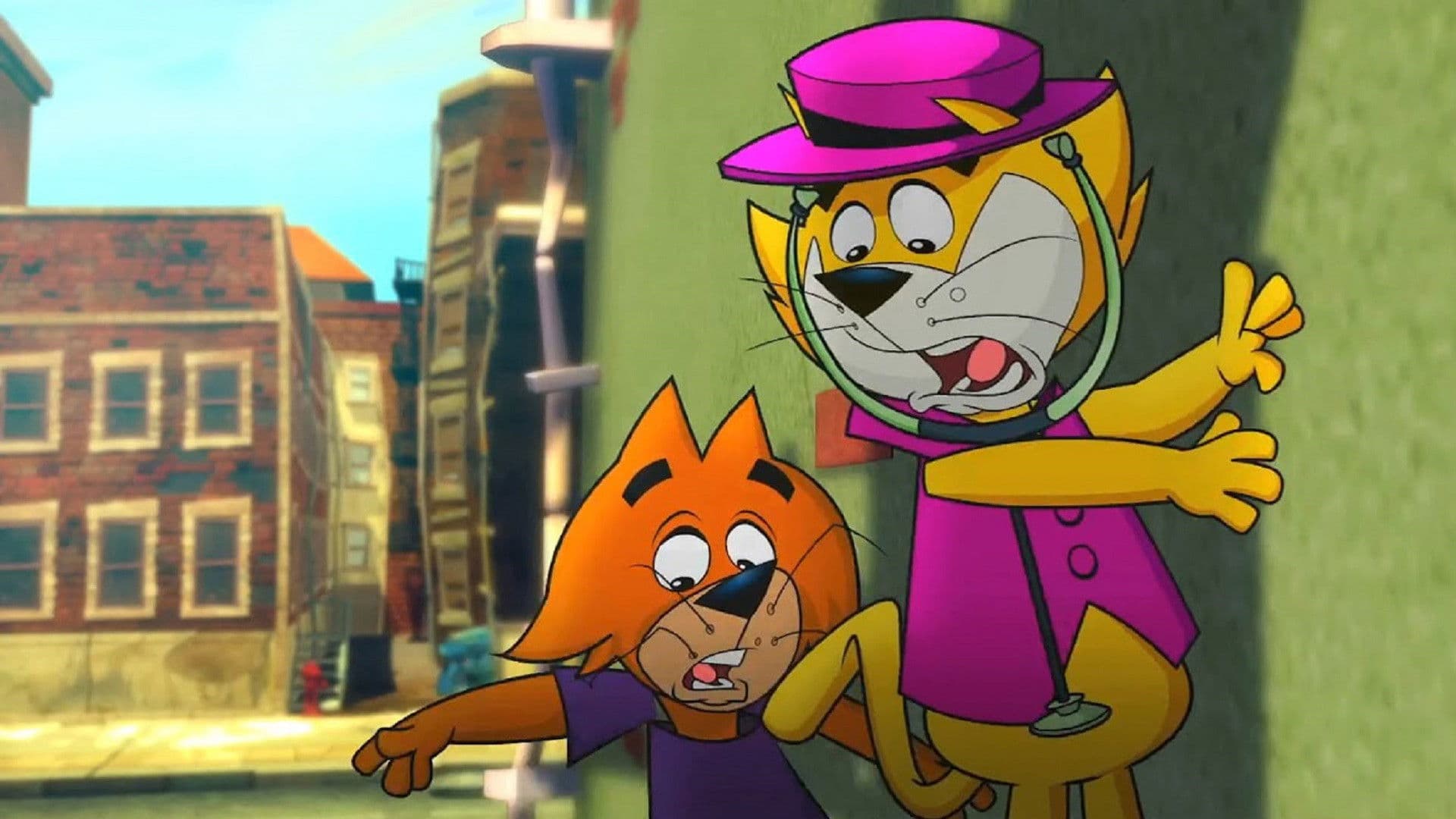 Top Cat Collection
