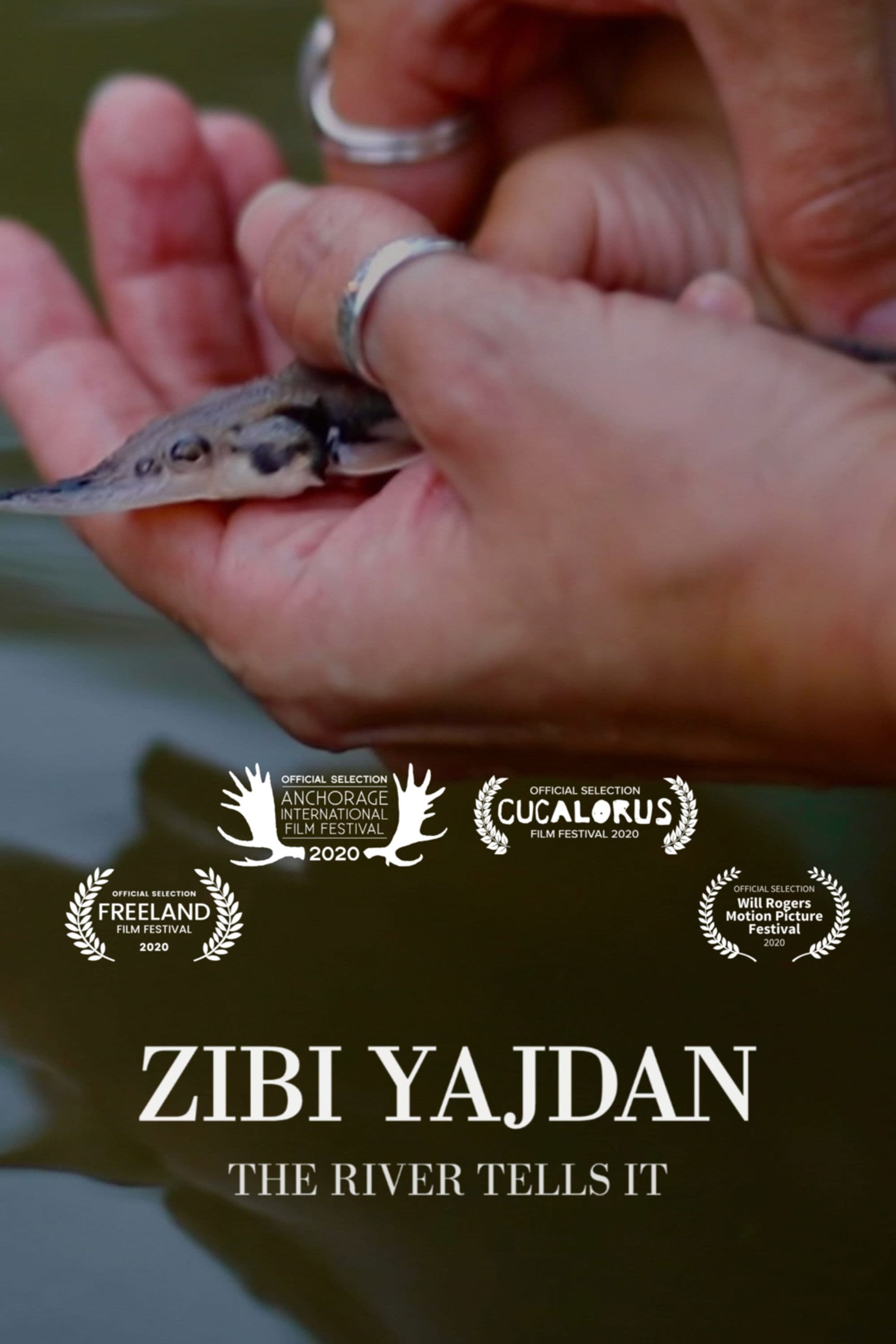 Zibi Yajdan