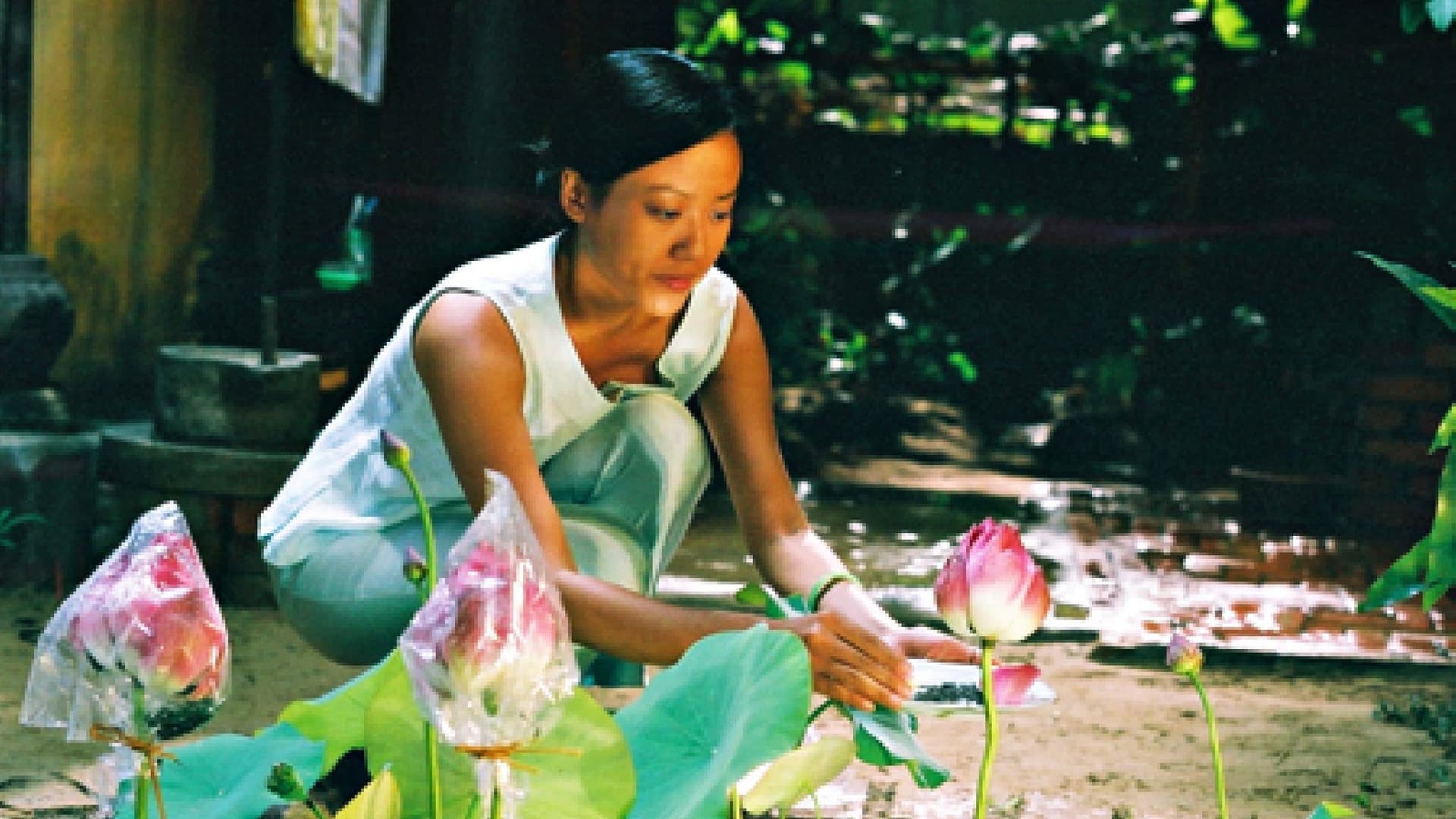 The Moon at the Bottom of the Well