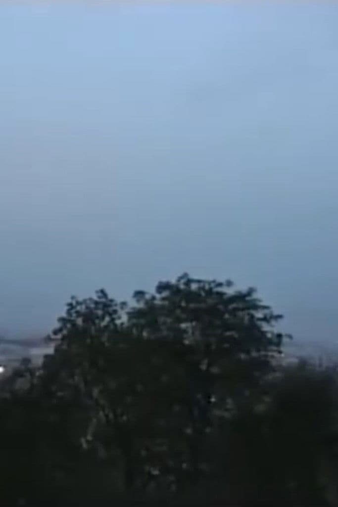 L'internationale des fonctionnaires