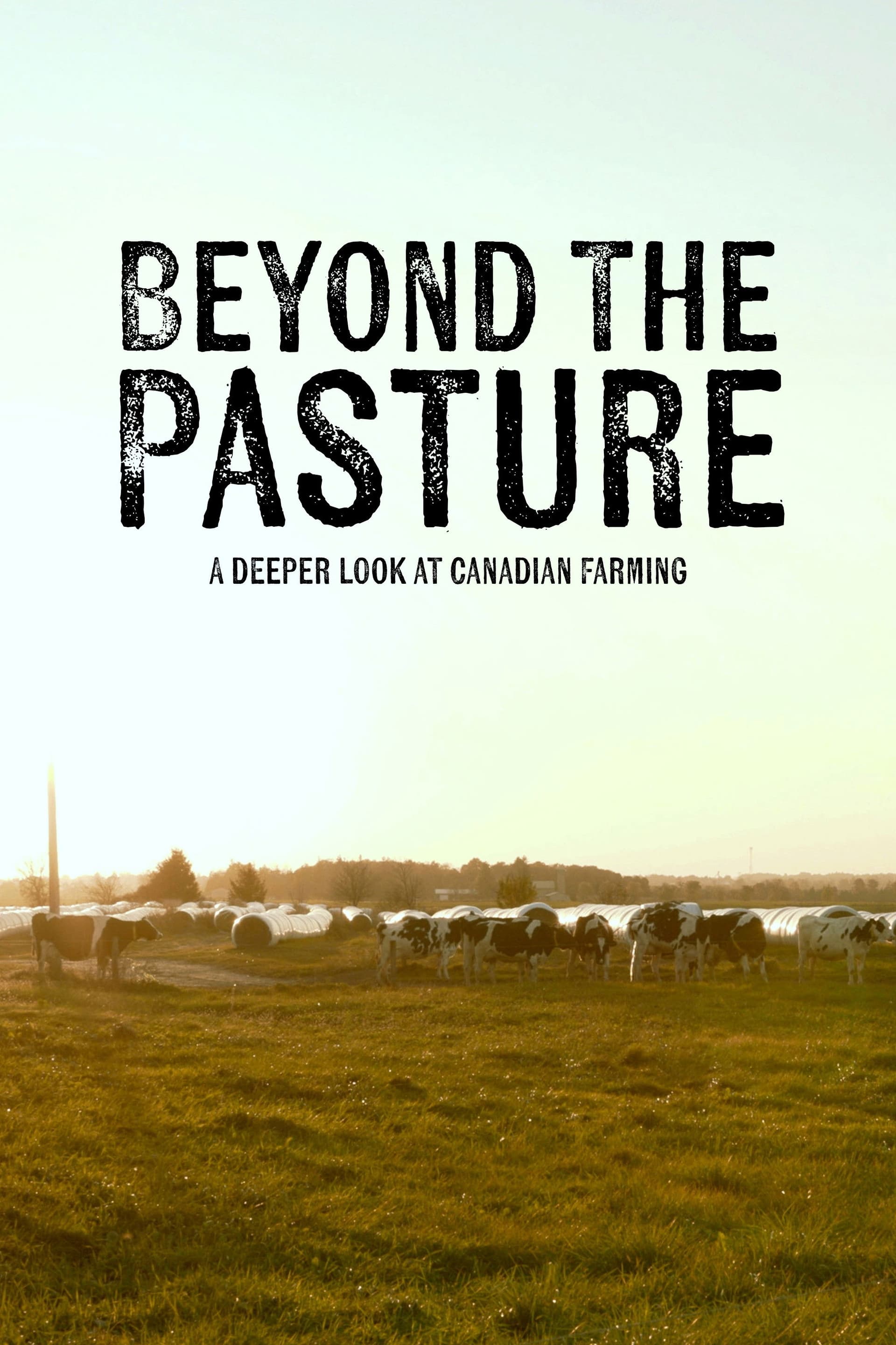 Beyond the Pasture