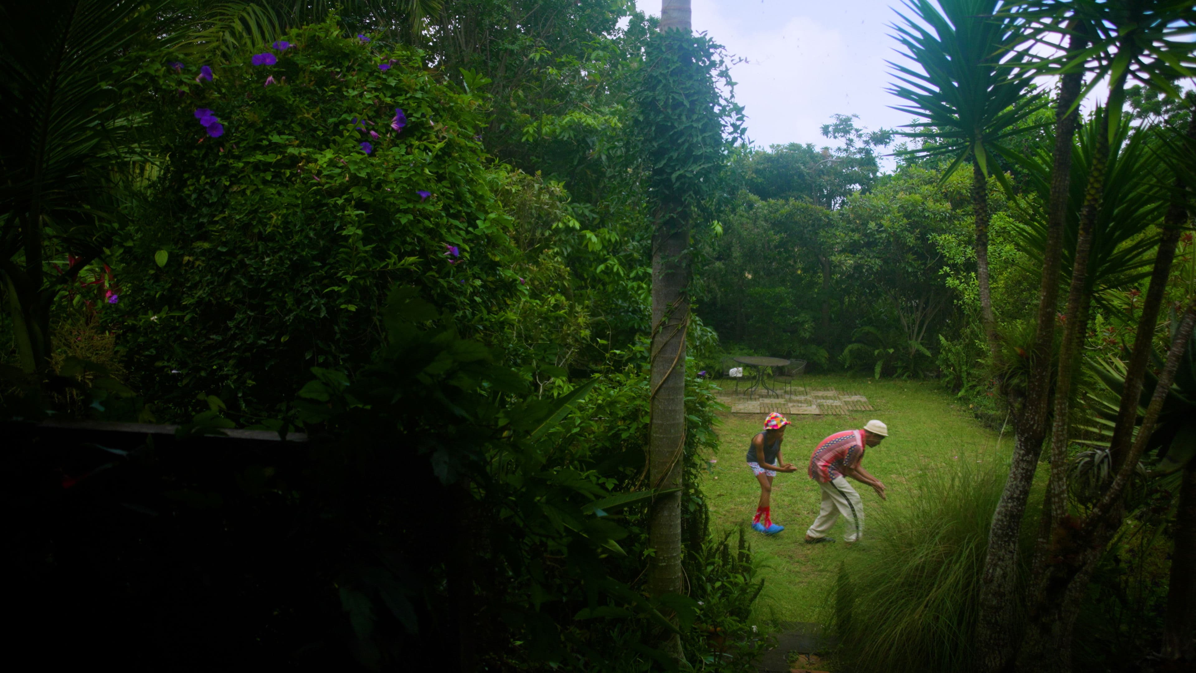 The Truth about Alvert, the Last Dodo