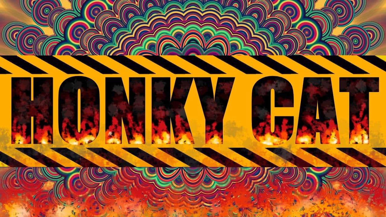 Honky Cat