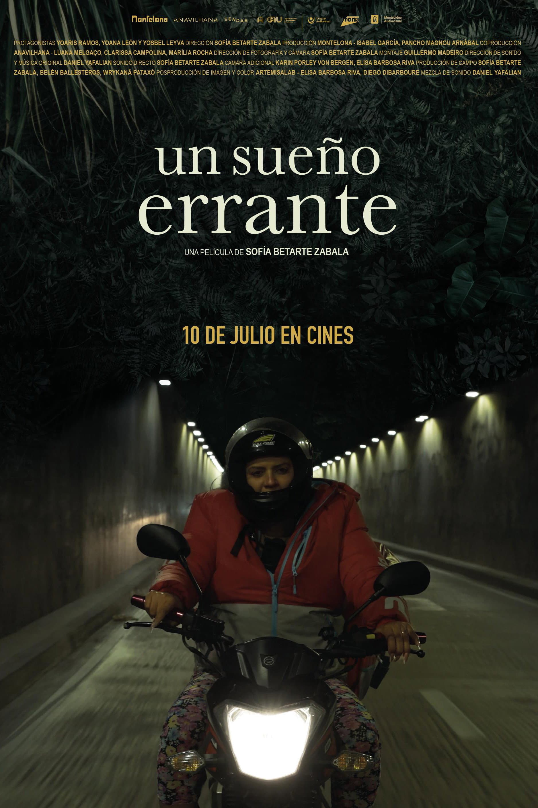Un sueño errante