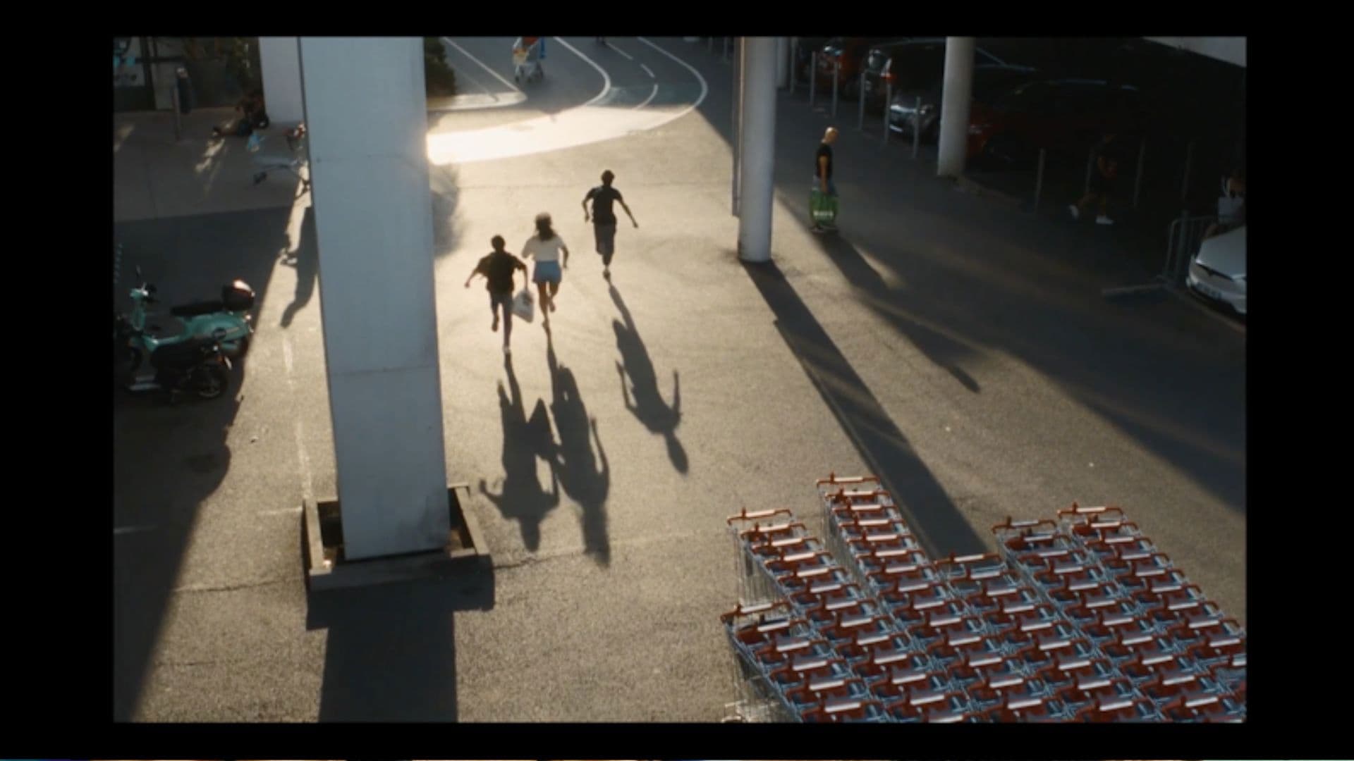 La nostalgie des dodos