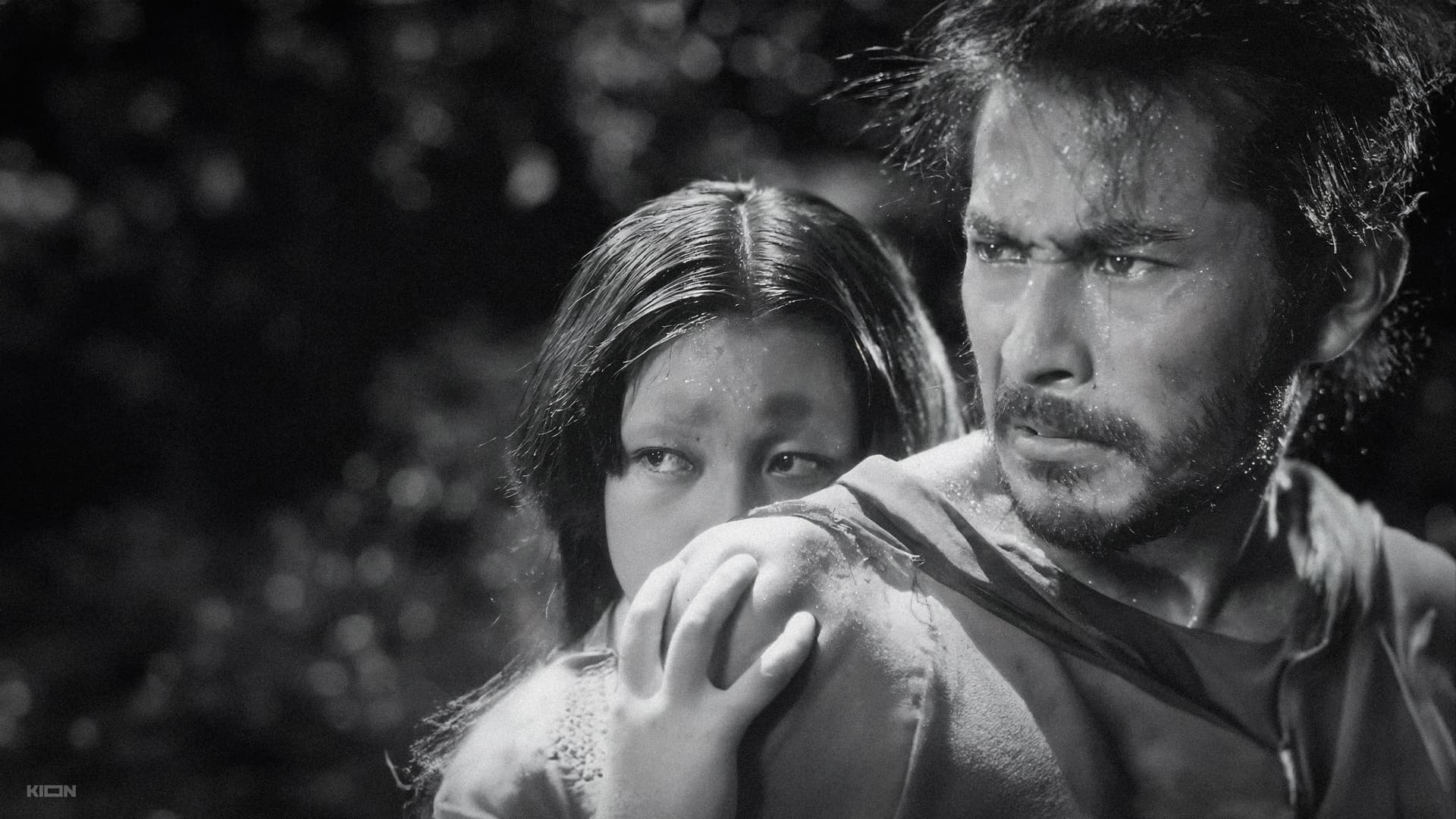 Rashomon