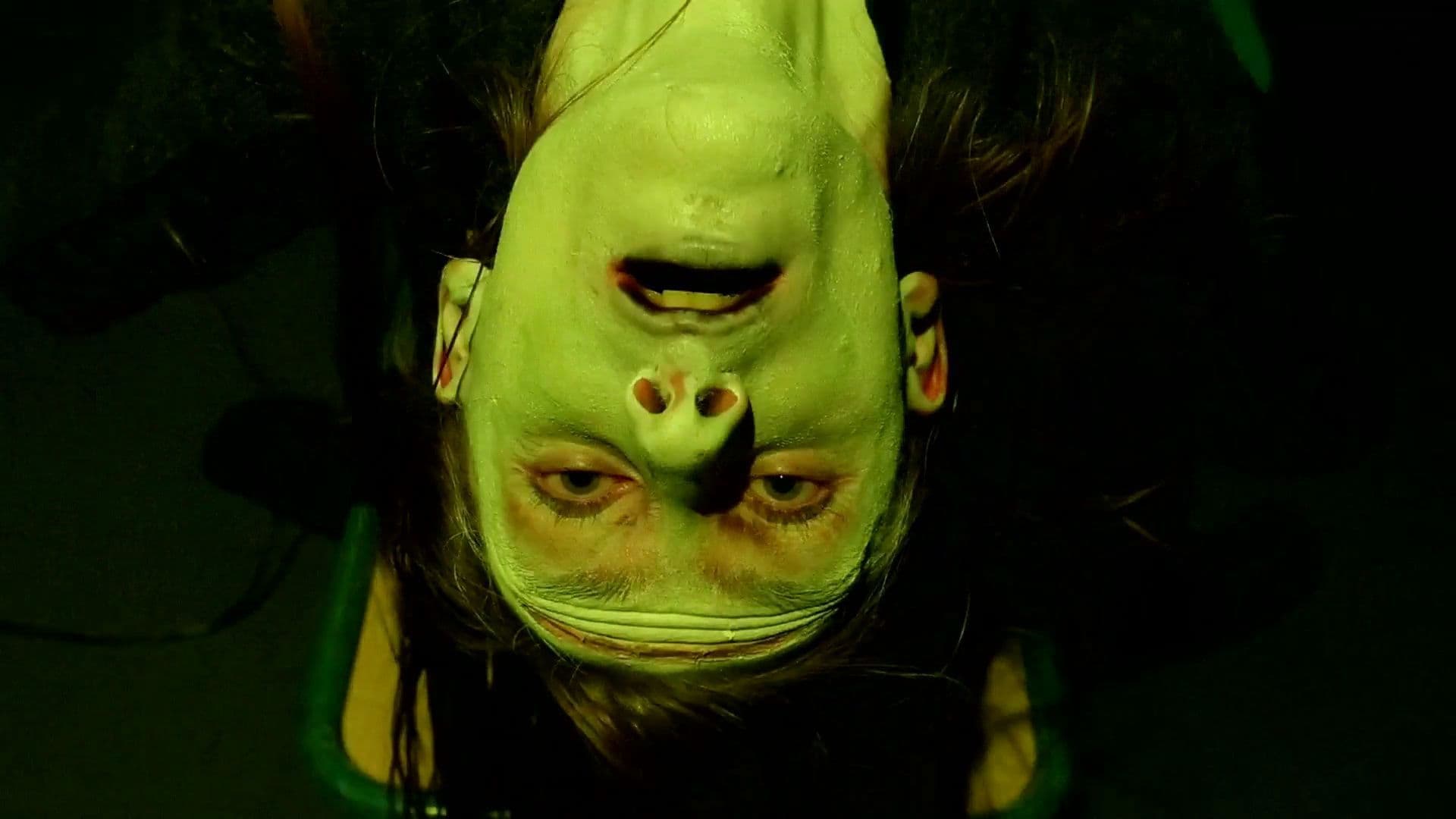 Frankenstein Created Robyn