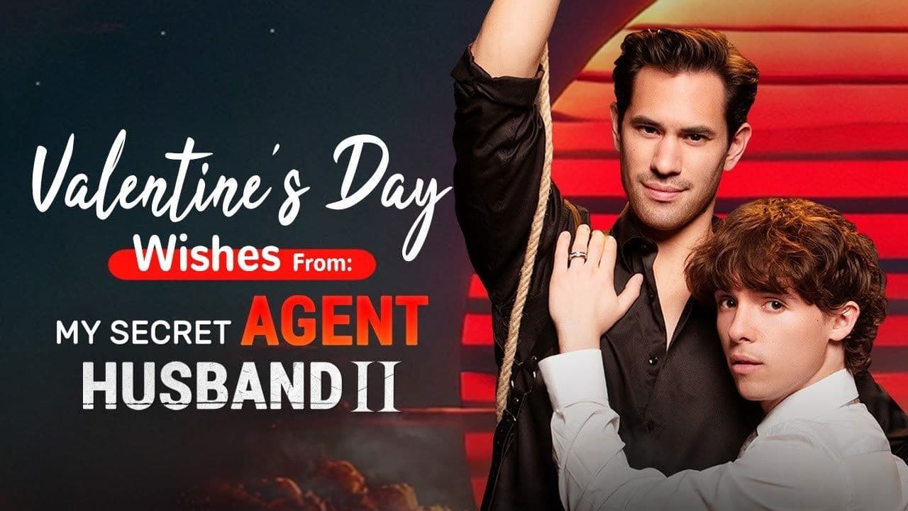 My Secret Agent Husband 2