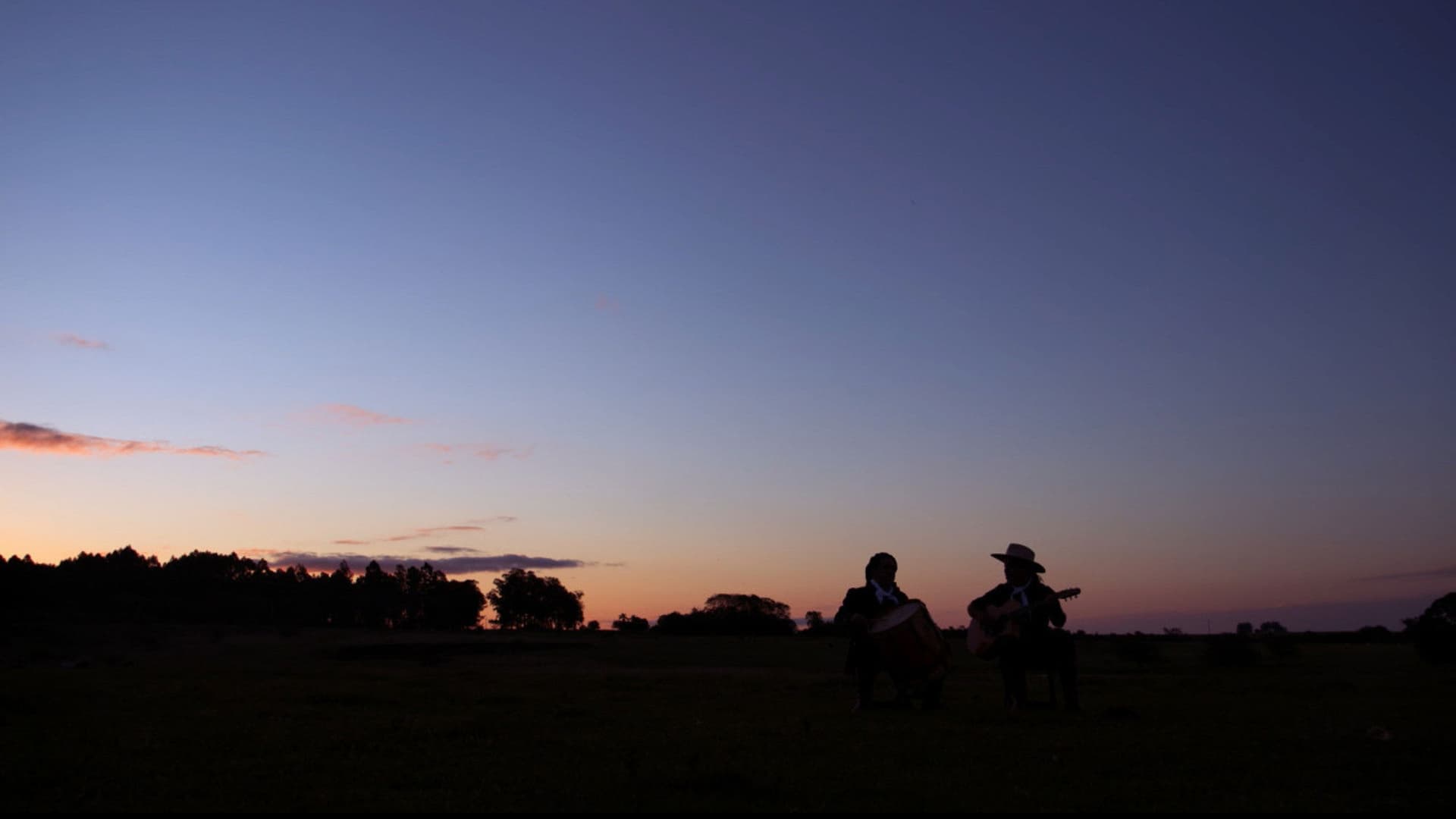 Sobreviventes do Pampa