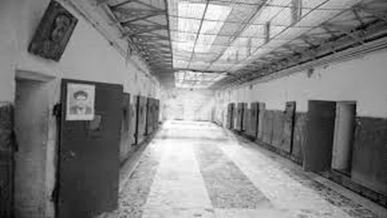 سركاجي "بربروس"