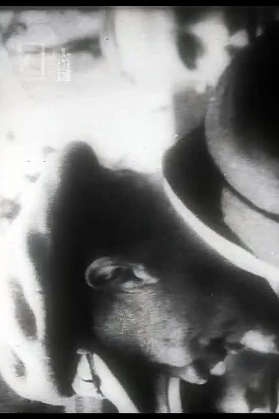 Uns mahnt ein November