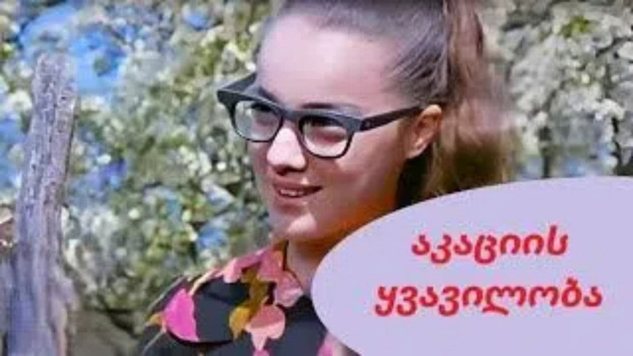 აკაციის ყვავილობა