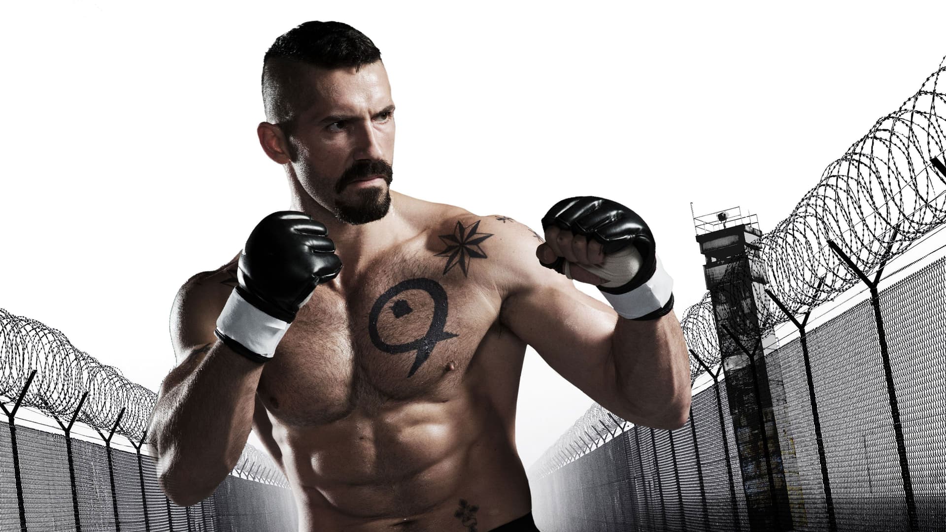 Boyka: Undisputed IV