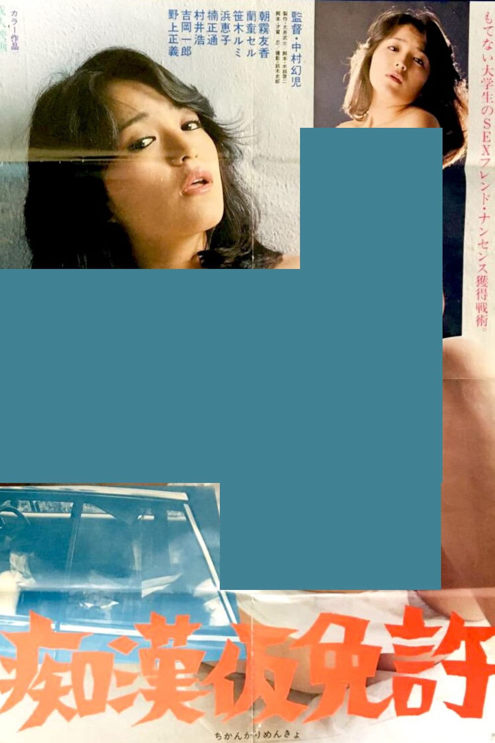 Provisional Groper's License