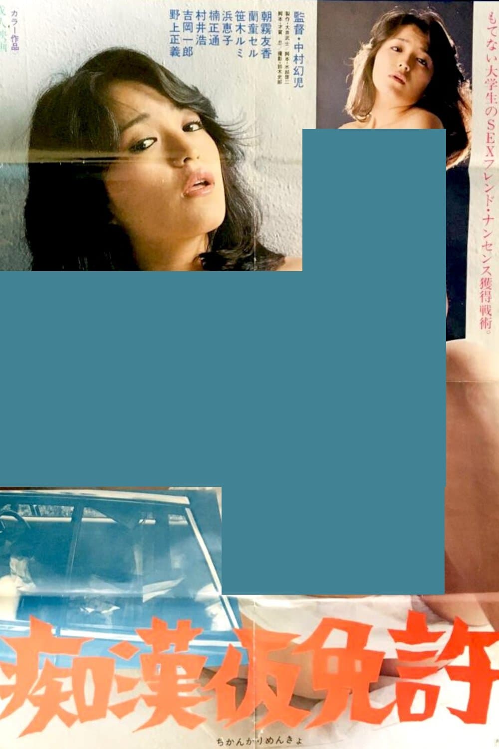 Provisional Groper's License