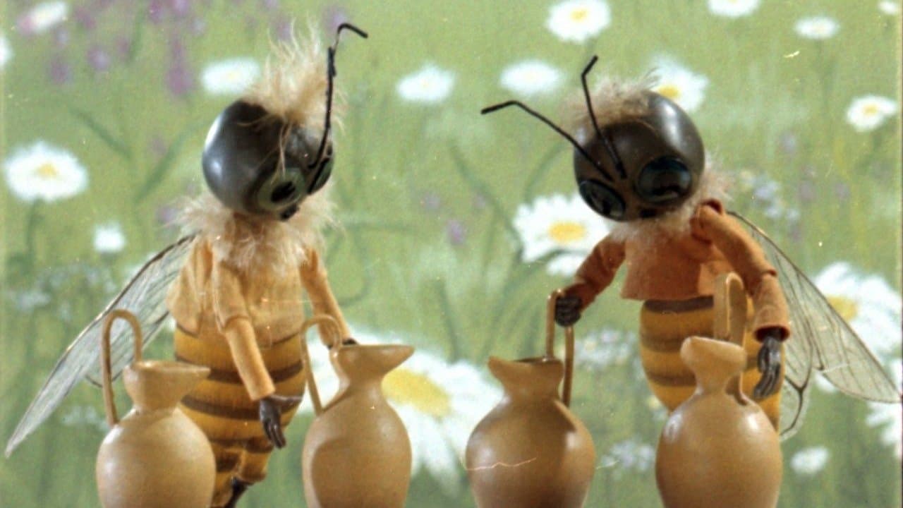 City of Honey Masters