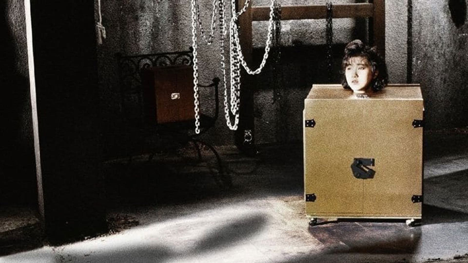 Woman in a Box Collection