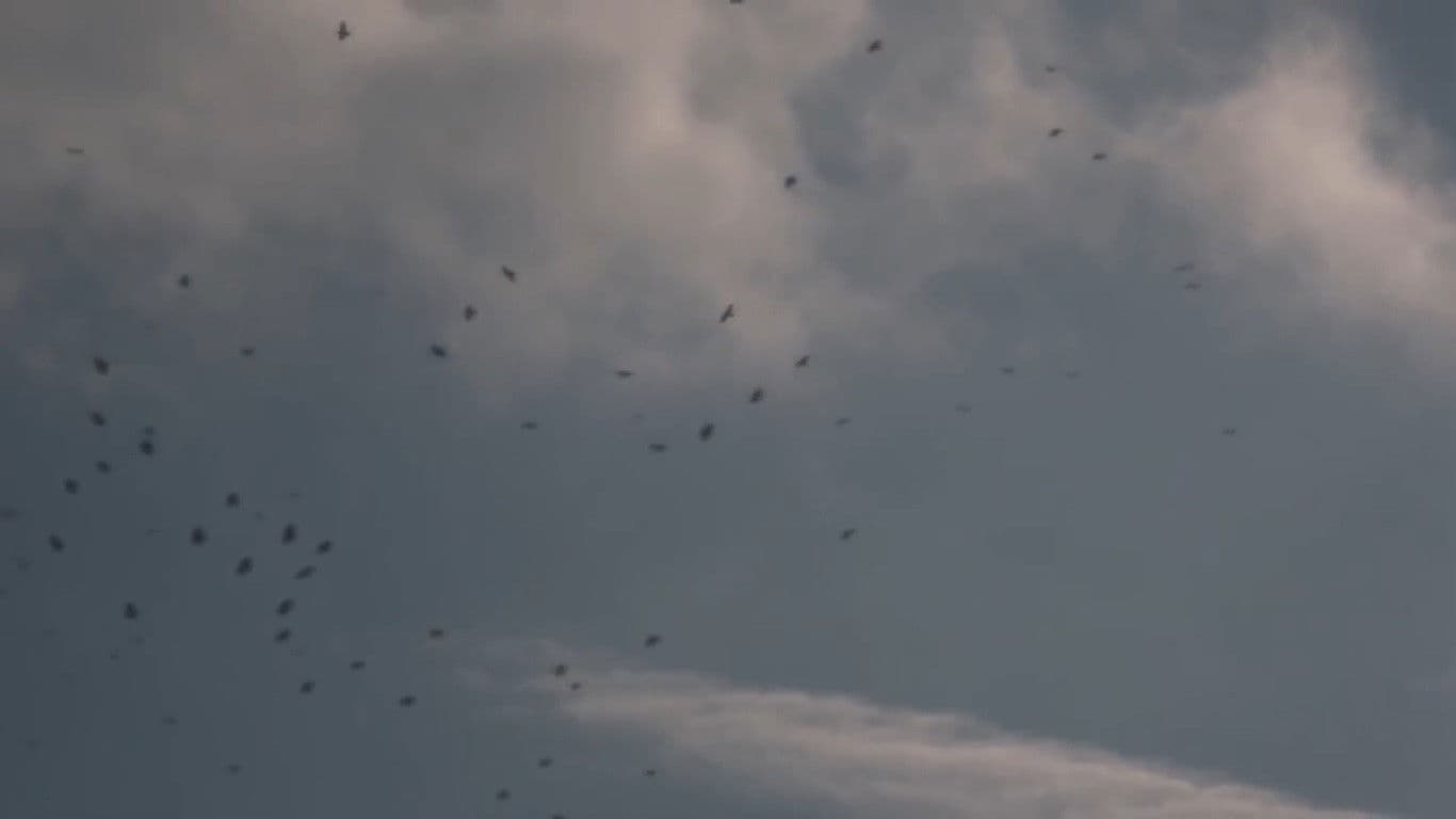 The Sky Seemed Too High