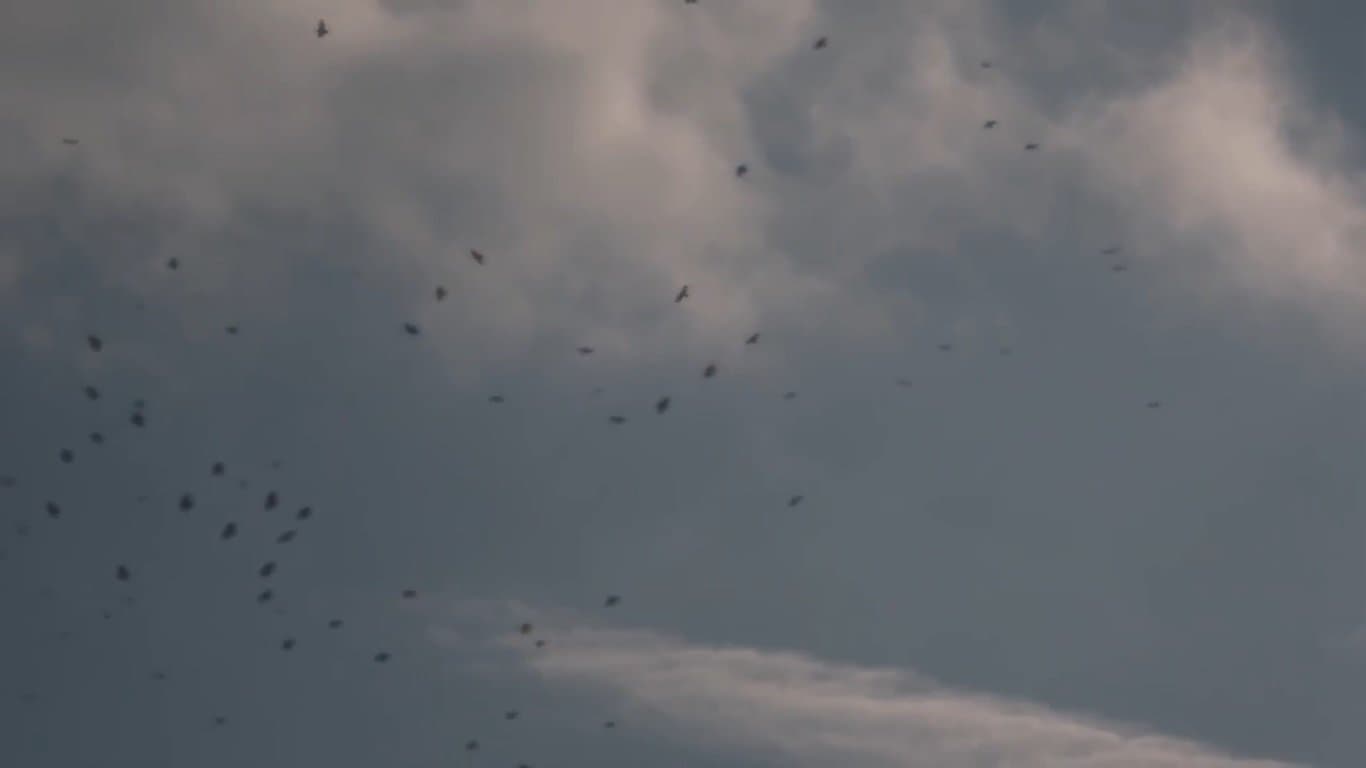 The Sky Seemed Too High