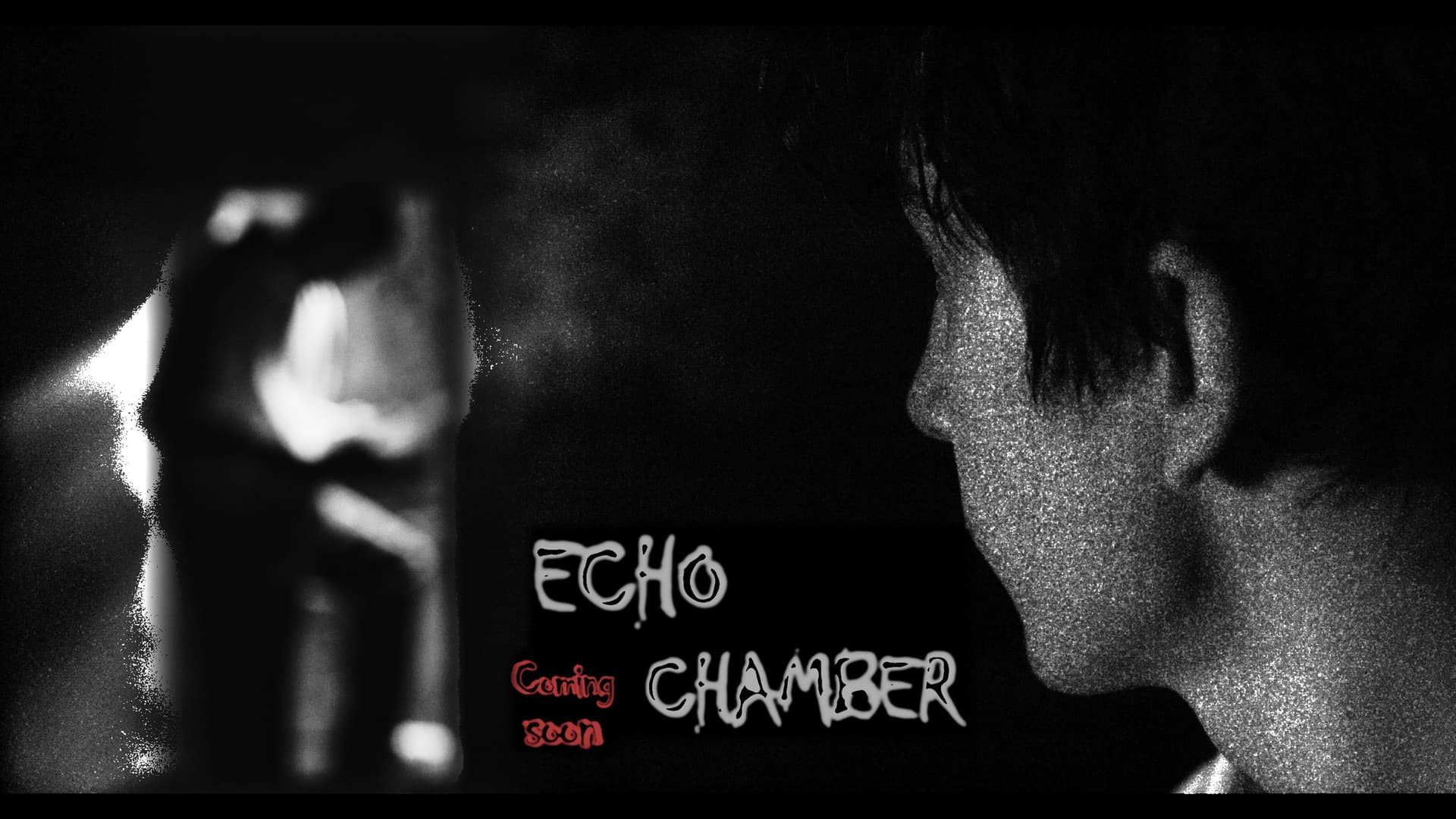 Echo Chamber