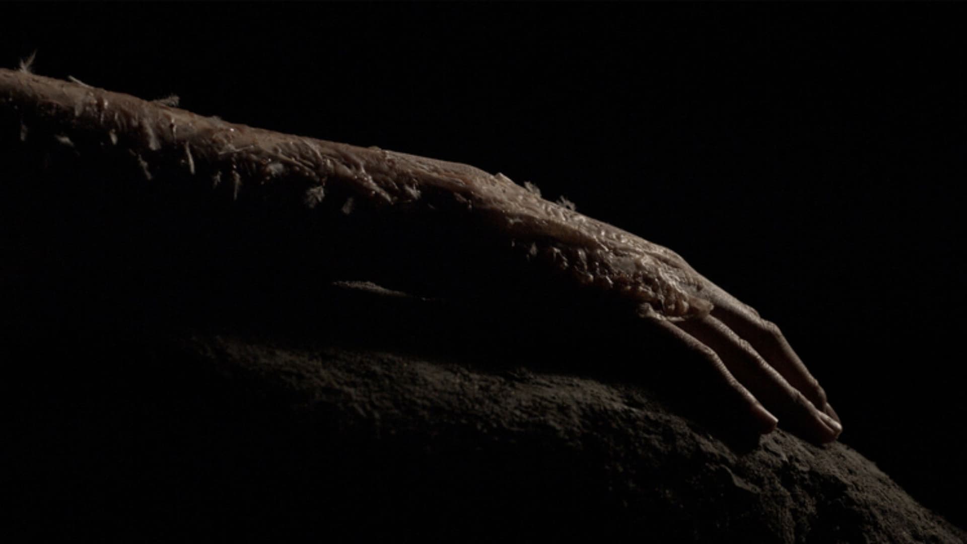 Go Tell It To The Mountain