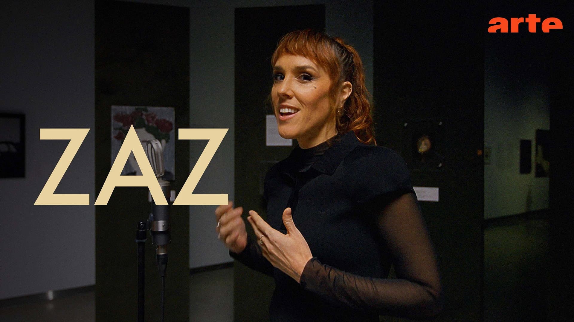 Zaz - Sounds Like Art  @ Mo Museum, Vilnius