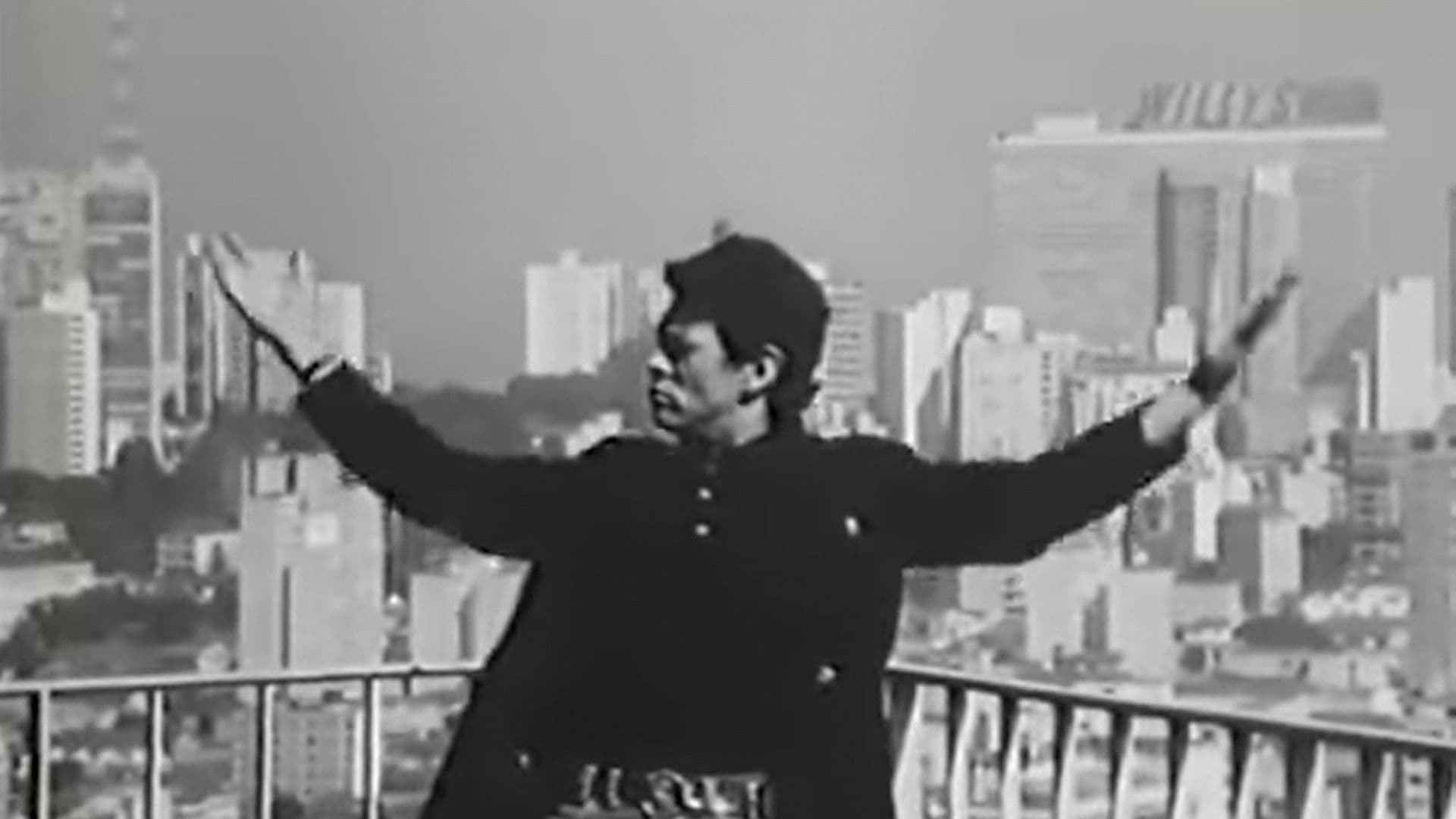 São Paulo: Symphony and Cacophony