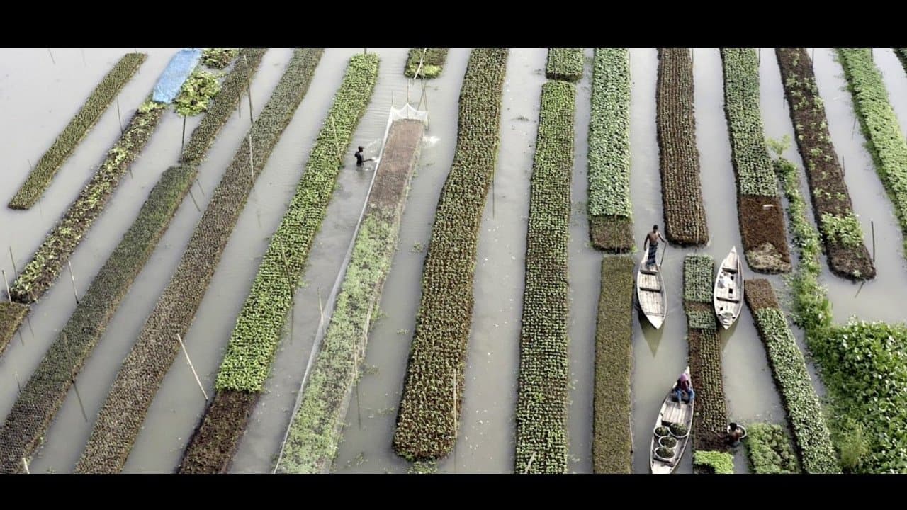 Elements of(f) Balance