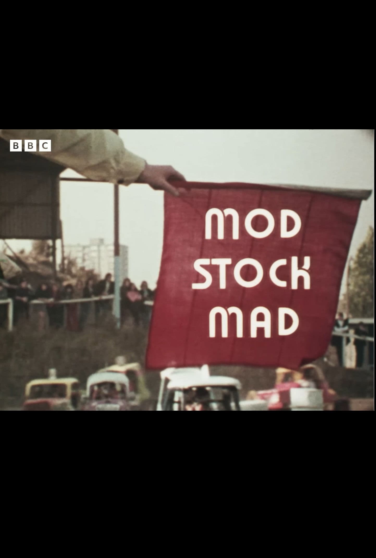 The Fanatics: Mod Stock Mad