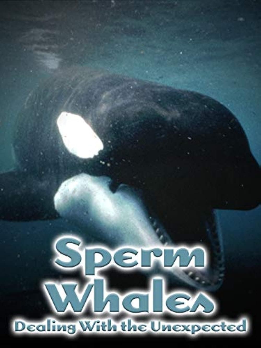 Sperm Whales: Dealing with the Unexpected