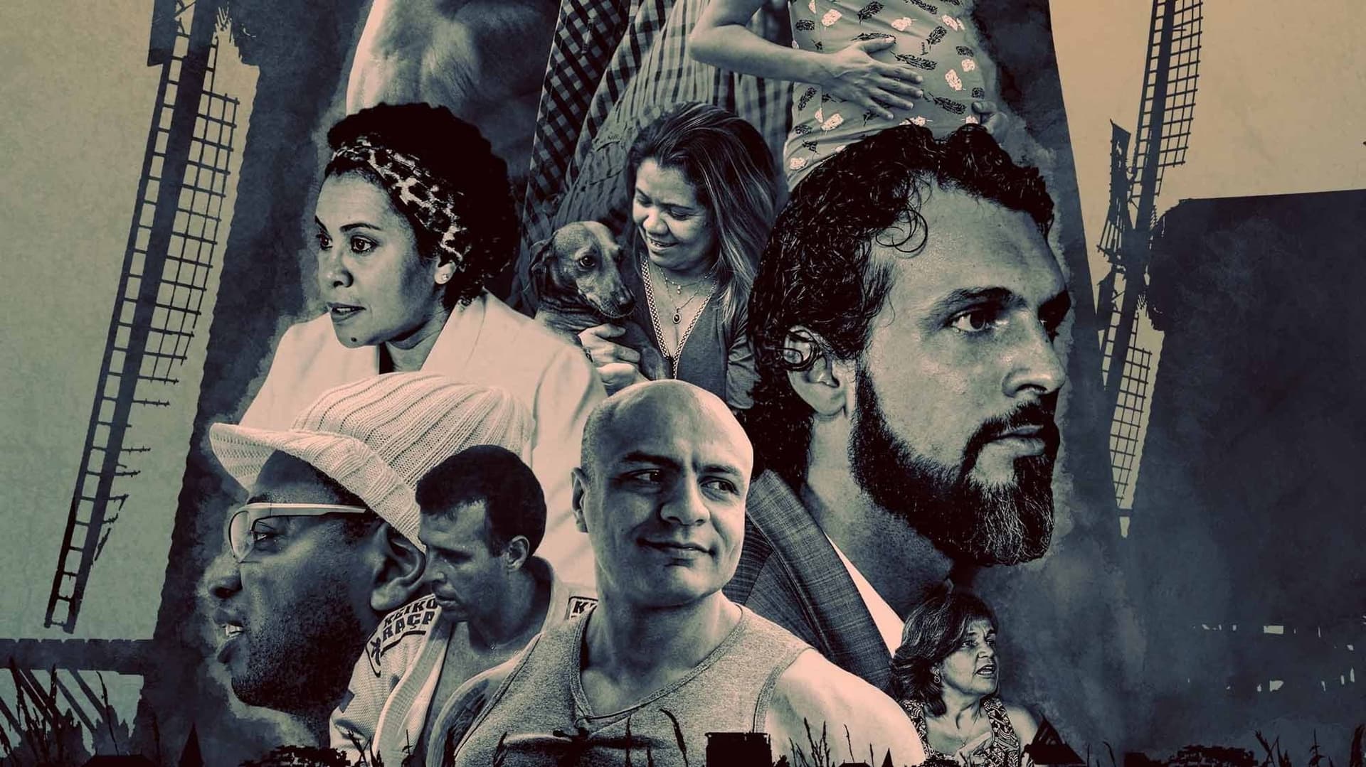 O Diário de Lidwina