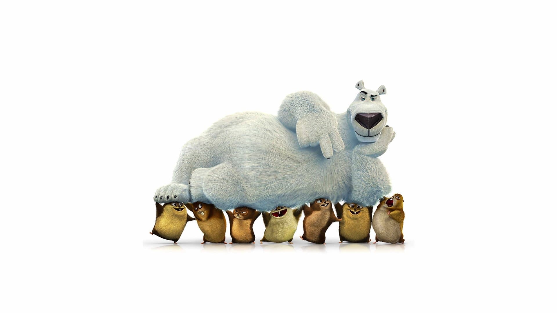 Norm of the North Collection