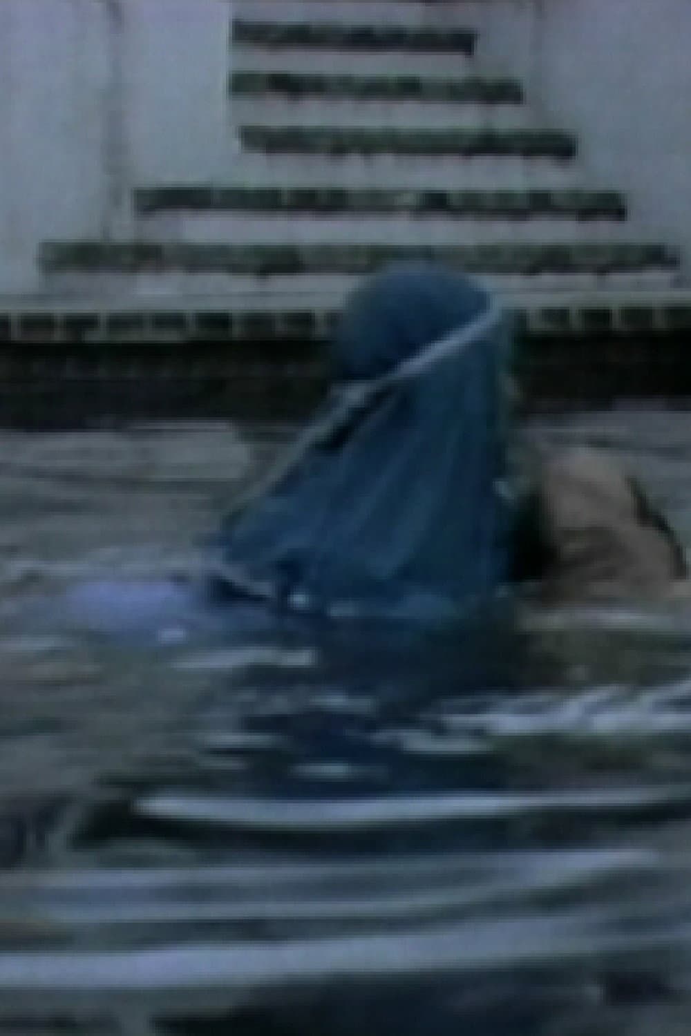 Sheherazade