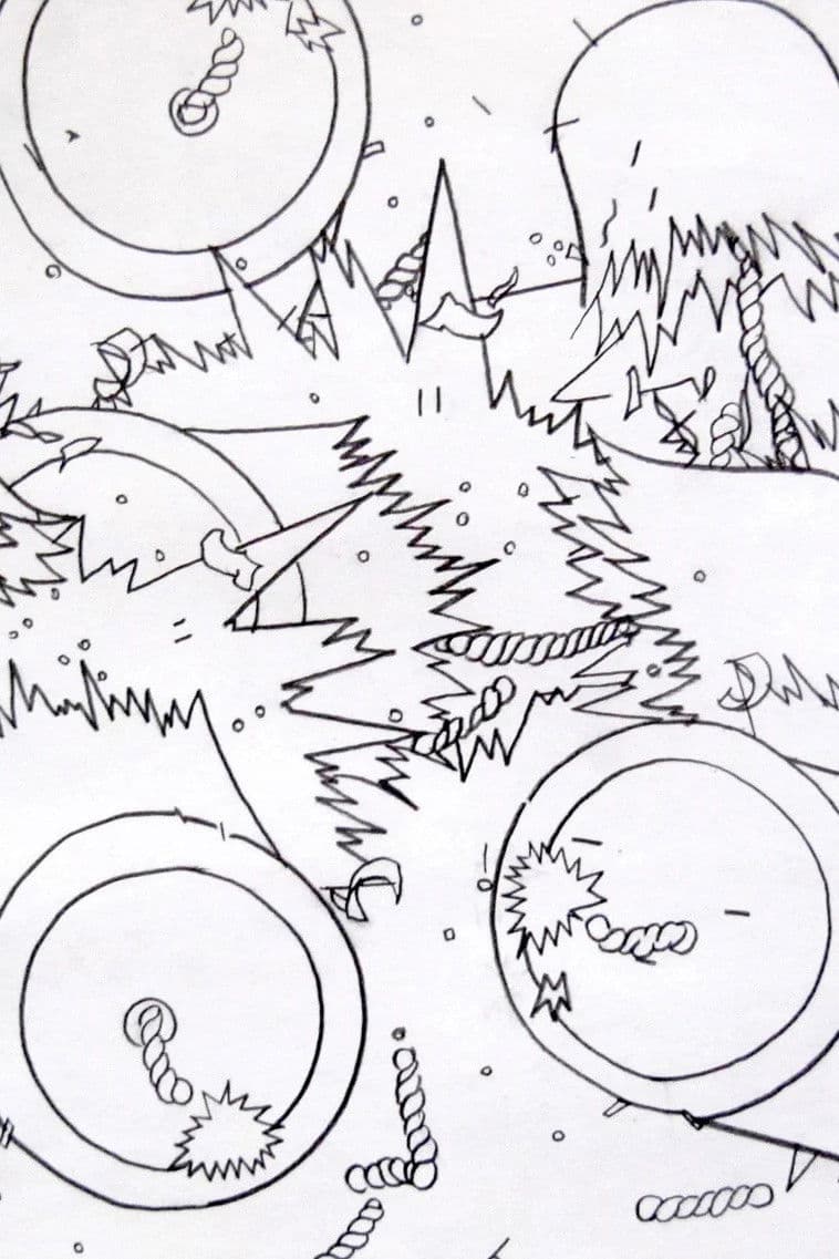 The Lives of Firecrackers