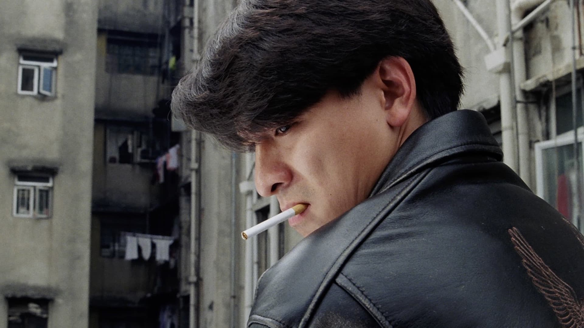 Casino Raiders Collection