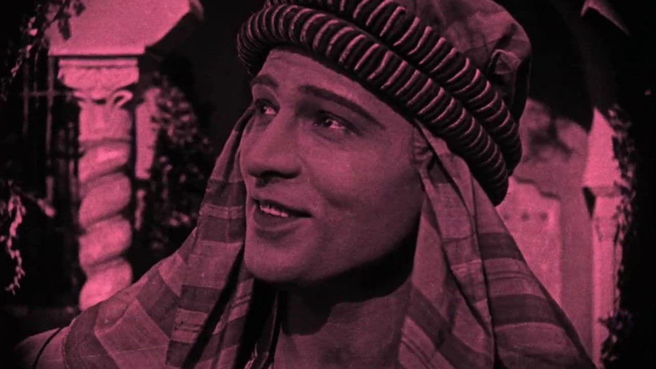 The Sheik Collection