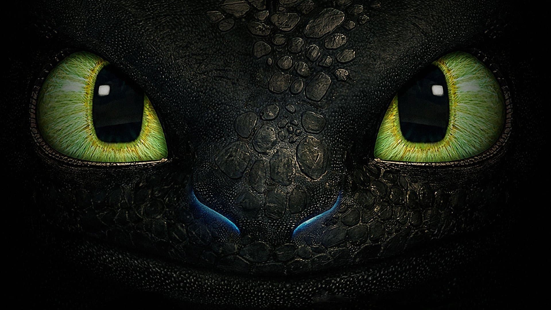 How to Train Your Dragon Collection