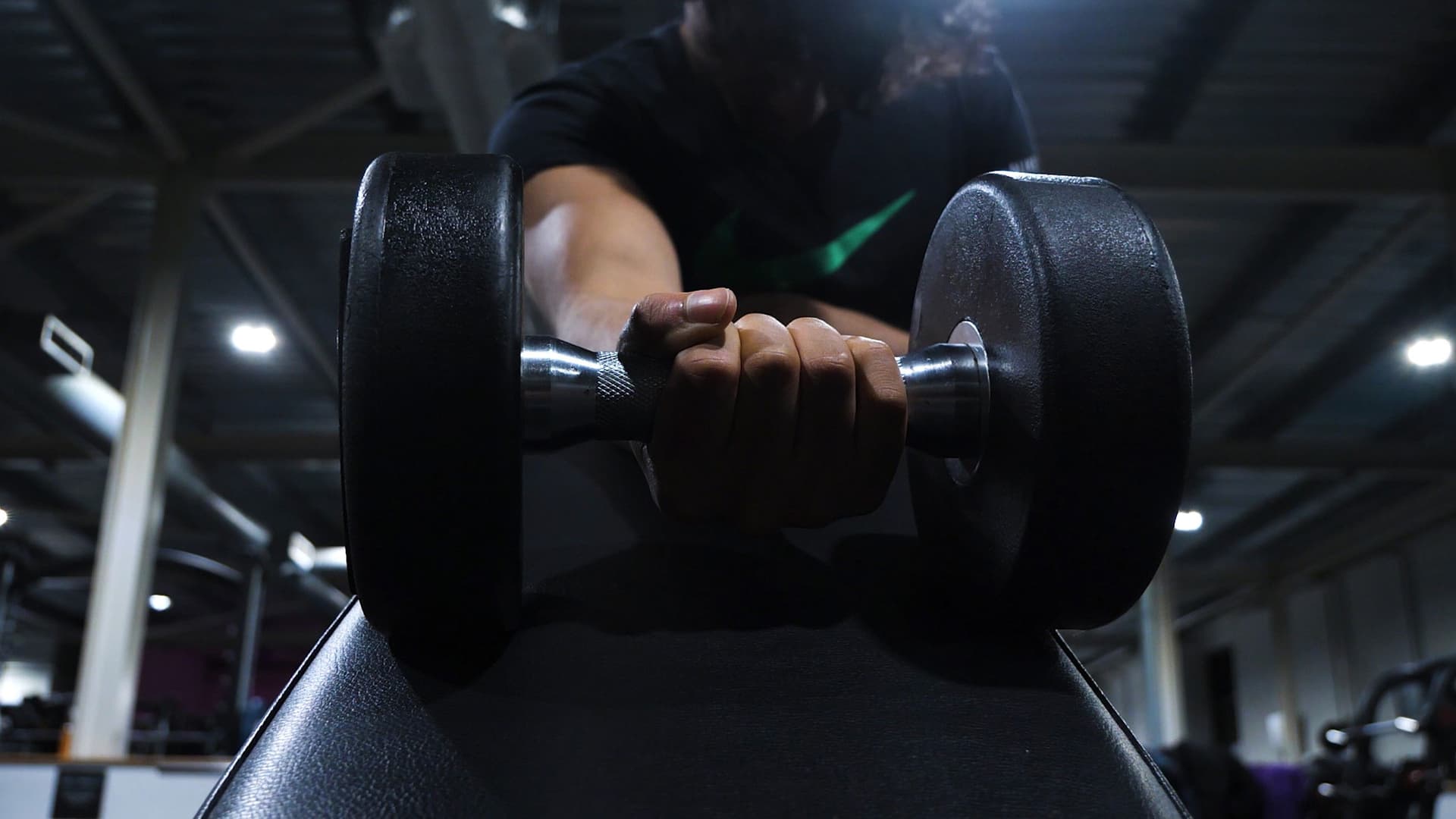 The Anthology of the Night