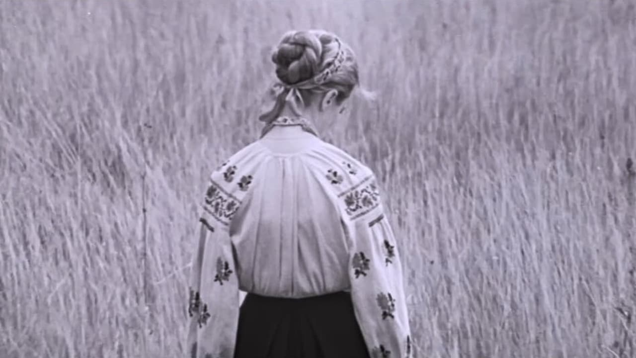 I'm Coming to You...