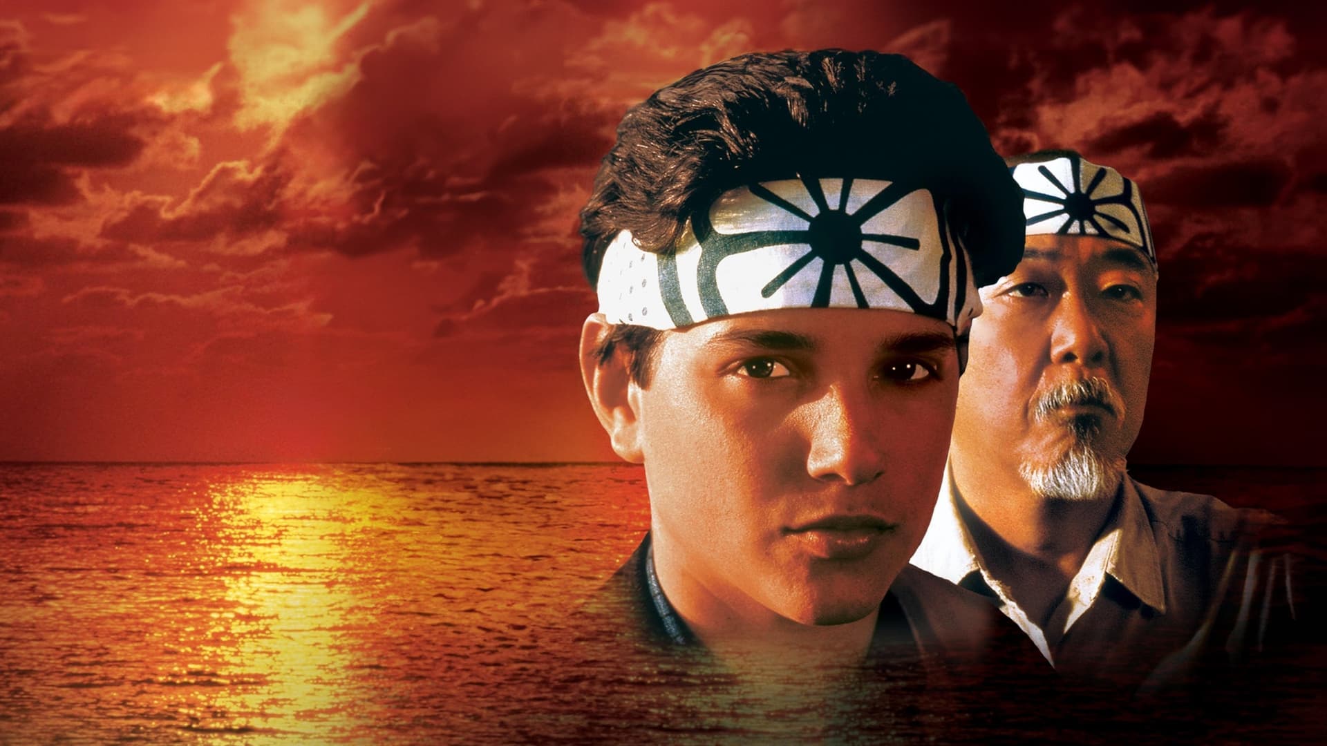 The Karate Kid Collection
