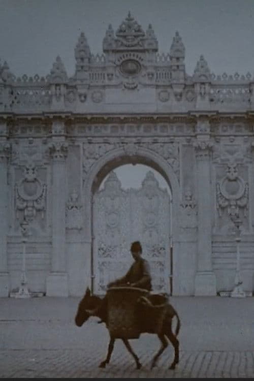 Türkiye - Istanbul - Istanbul Shootings at Pathécolor