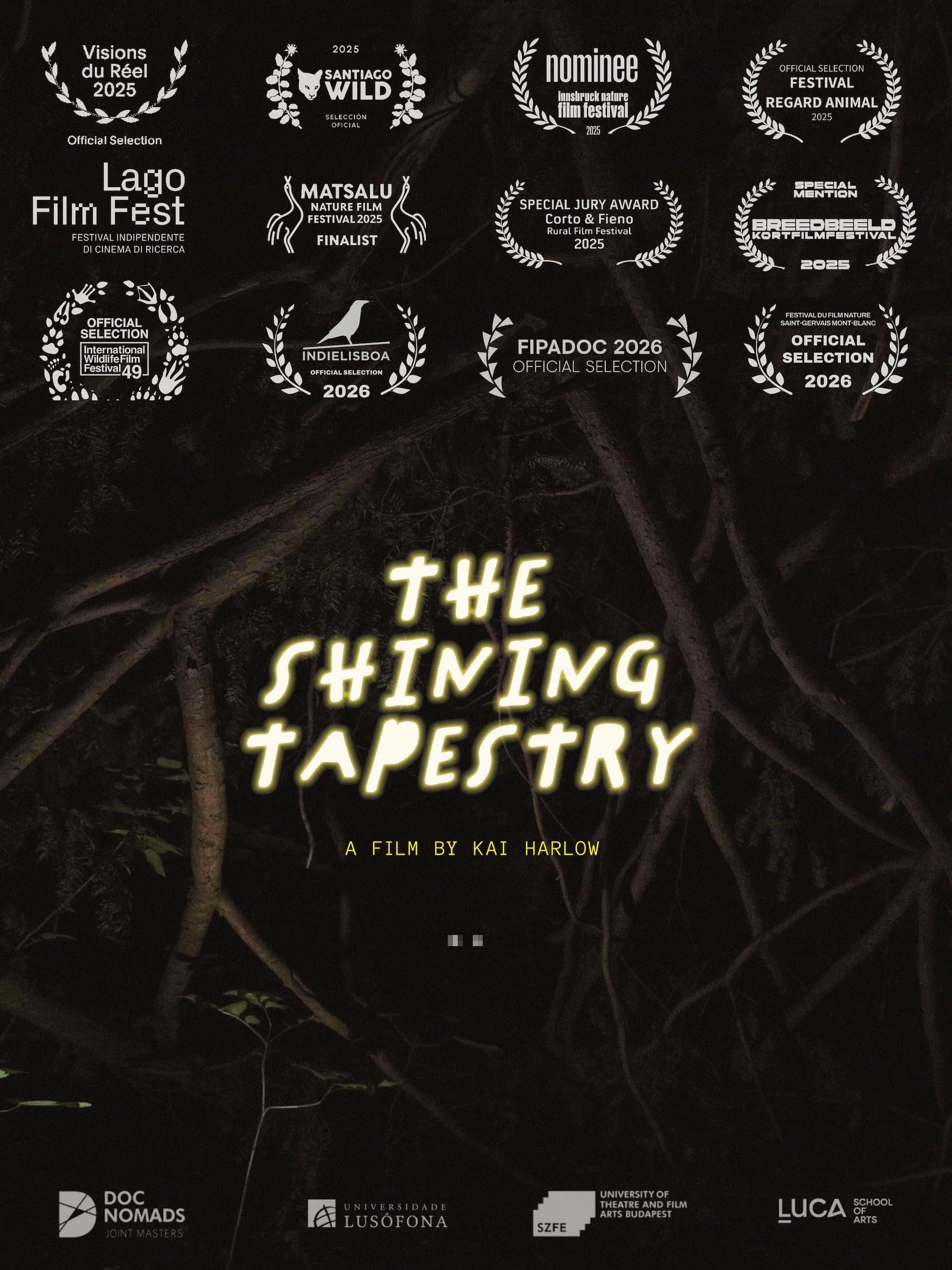 The Shining Tapestry
