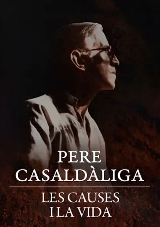 Pere Casaldàliga. Les causes i la vida
