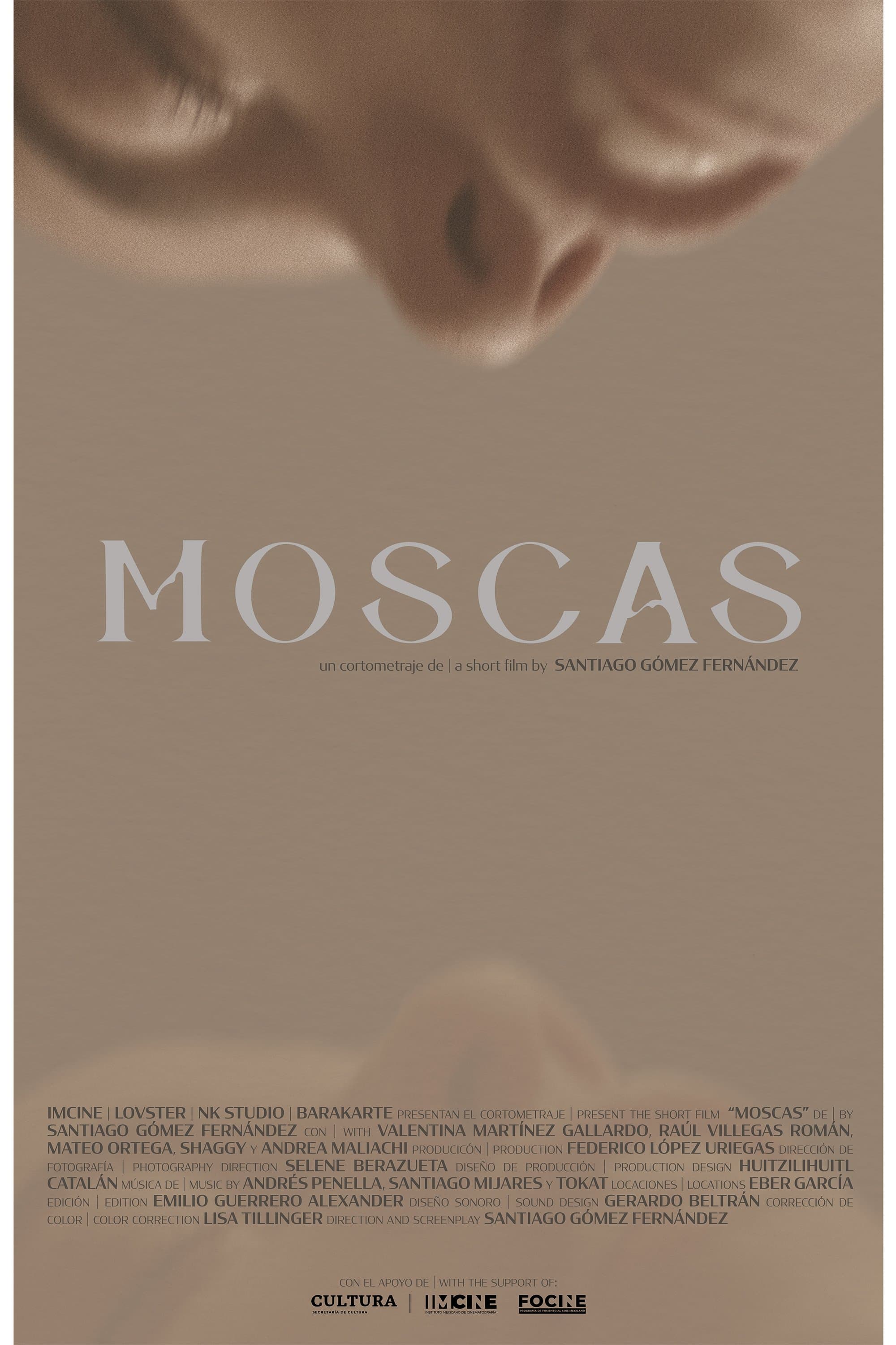 Moscas