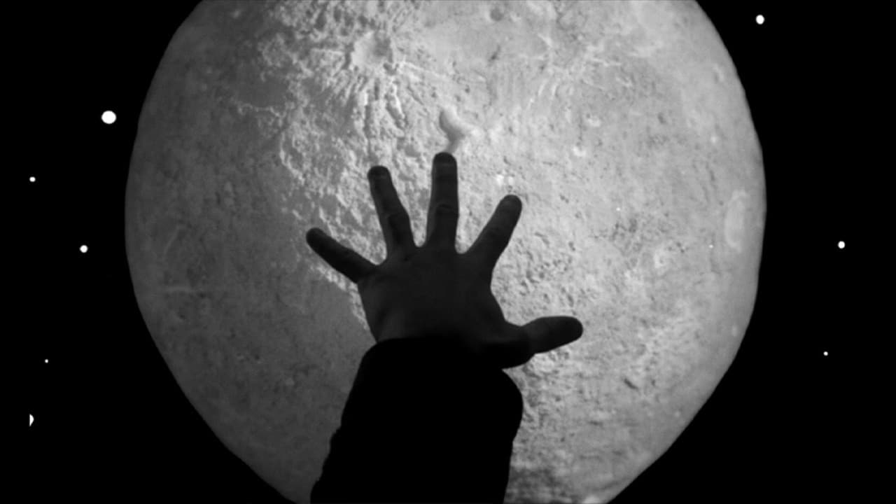 Captain Bartleby Loves the Moon