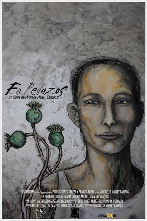 En pedazos