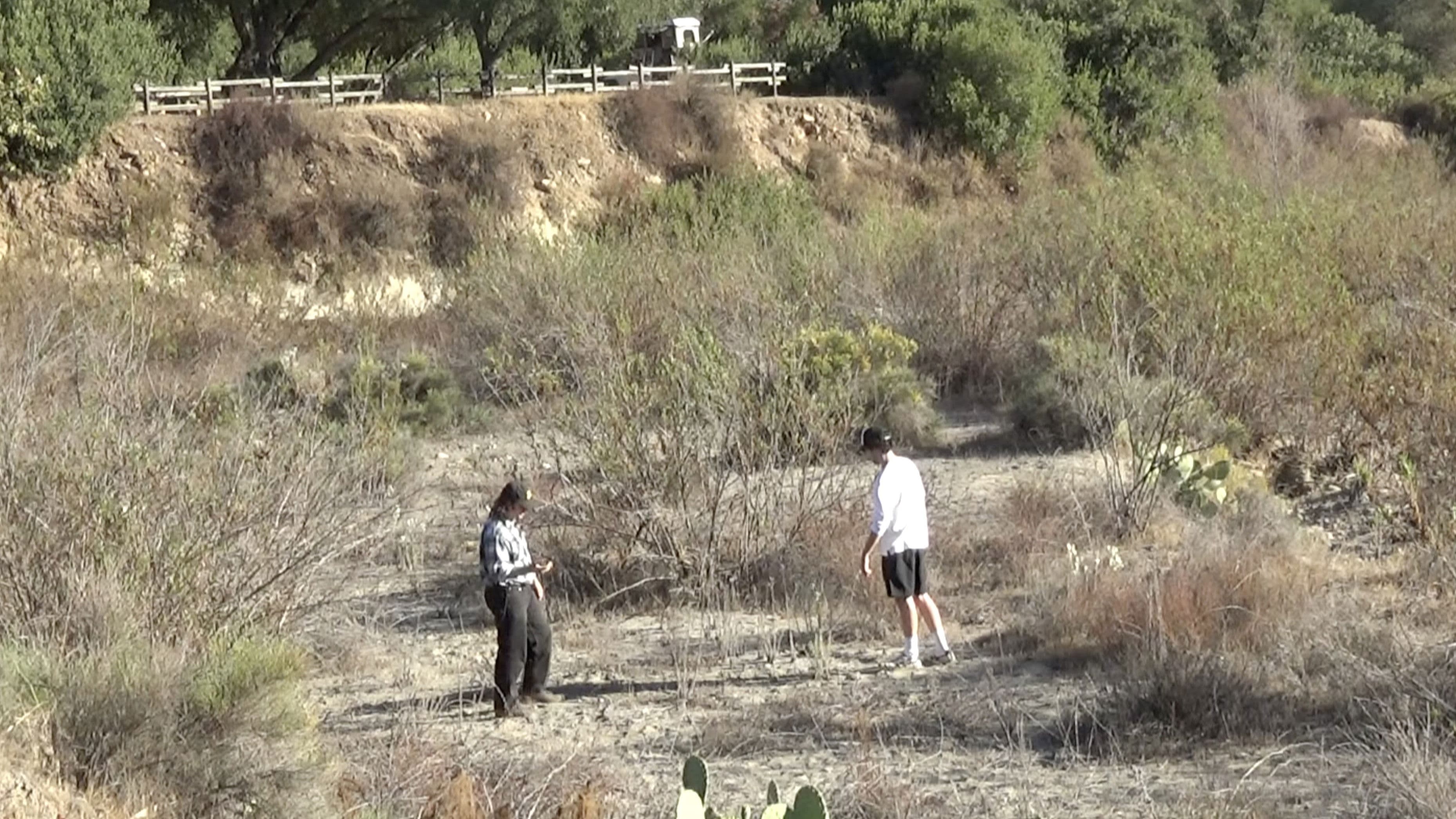 Oh, Let's Be Friends!