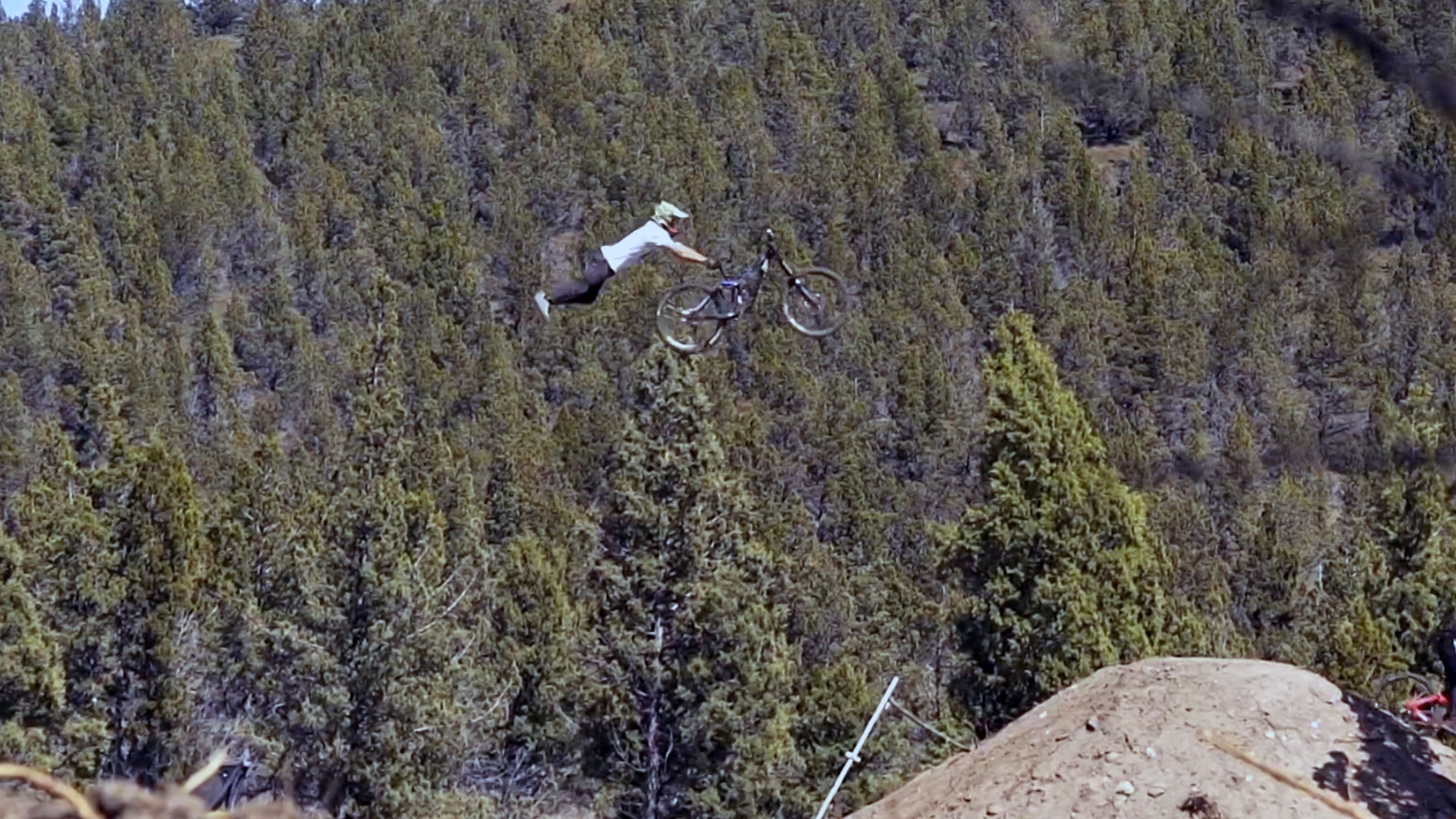 Action Figures Collection