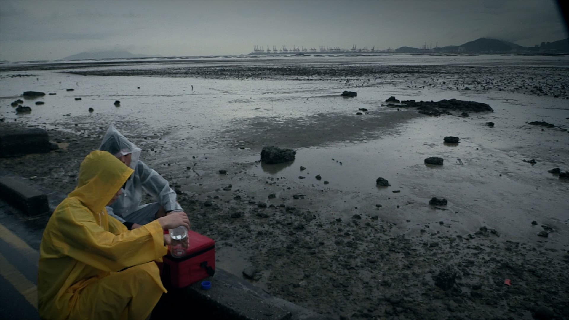 Being Rain: Representation and Will